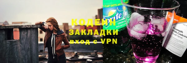 амф Ельня