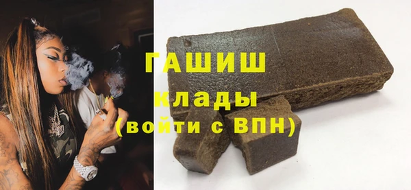 амф Ельня