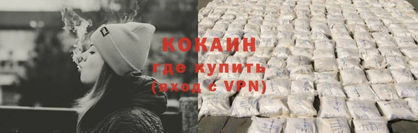 амф Ельня