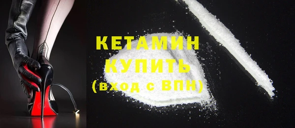амф Ельня