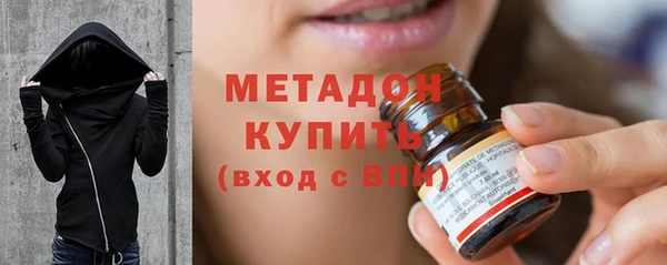 амф Ельня