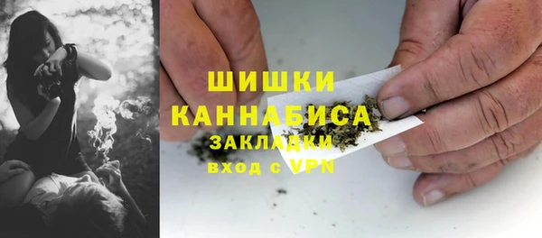 амф Ельня