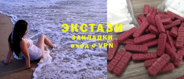 амф Ельня