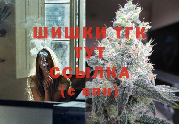 амф Ельня
