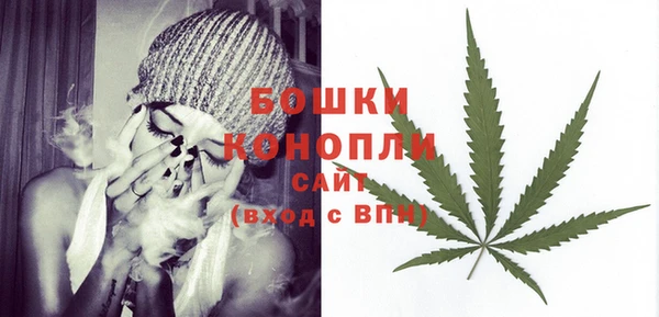 амф Ельня
