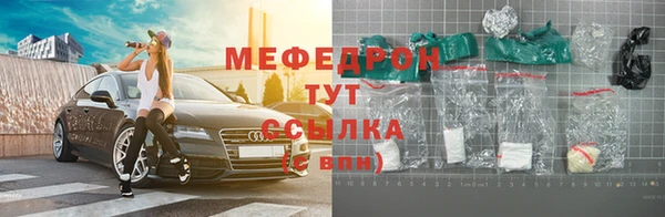 амф Ельня